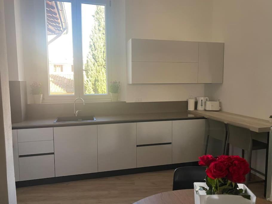 Micheli Apartment 佛罗伦萨 外观 照片